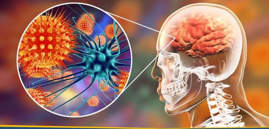 Semua Virus Berpotensi Menjadi Pandemi Baru
